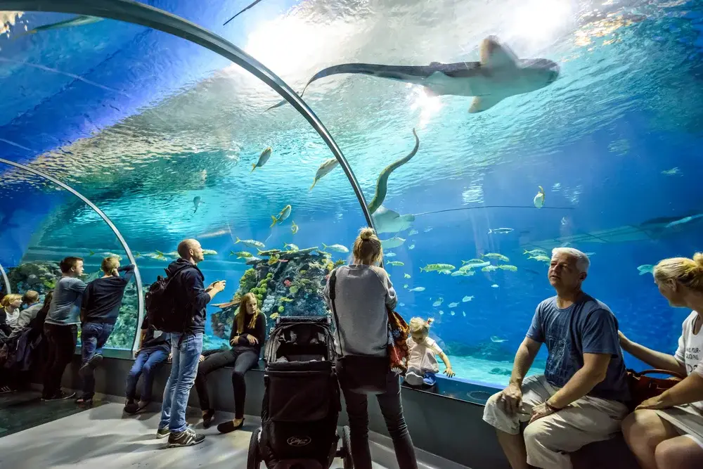 The National Aquarium Abu Dhabi - Photo 2