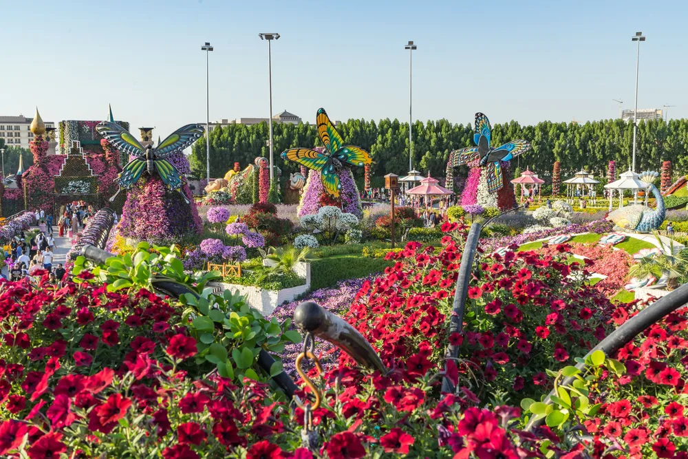 Butterfly Garden Dubai