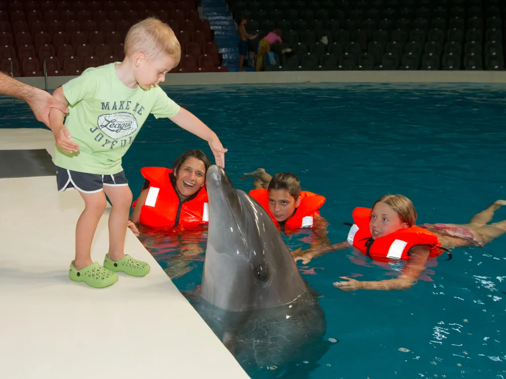 Dubai Dolphinarium - Photo 3