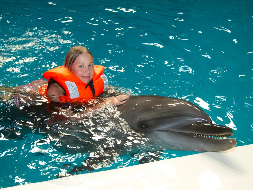 Dubai Dolphinarium - Photo 4
