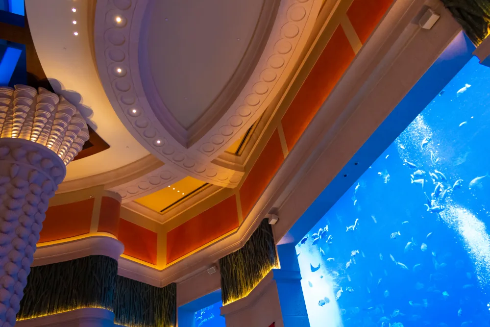 Lost Chambers Aquarium - Photo 2