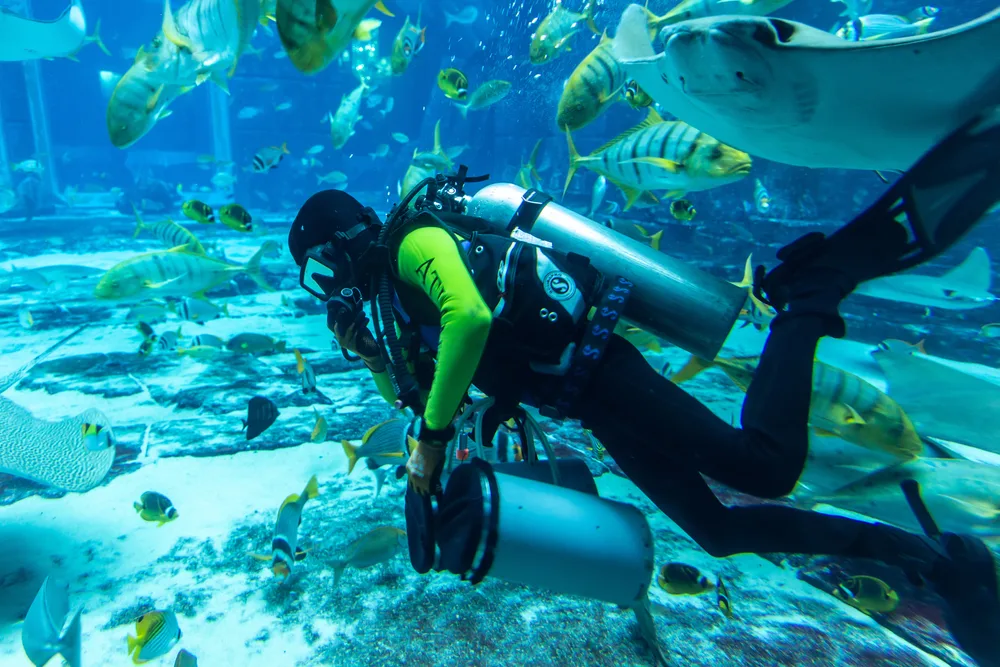 Lost Chambers Aquarium - Photo 3