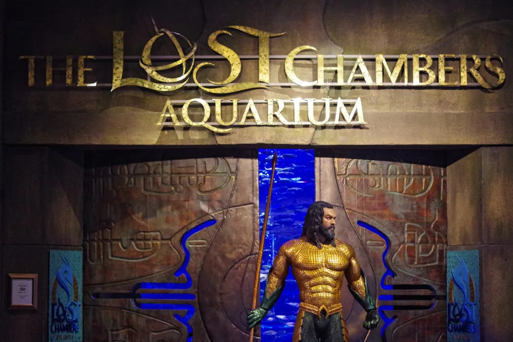 Lost Chambers Aquarium - Photo 5