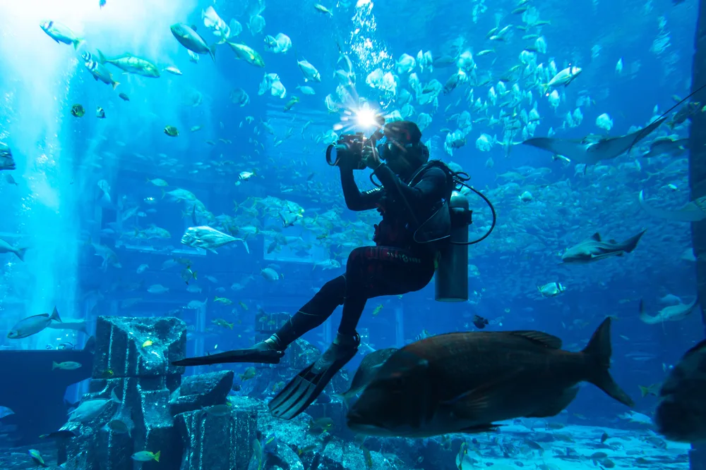 Lost World Aquarium Day Pass