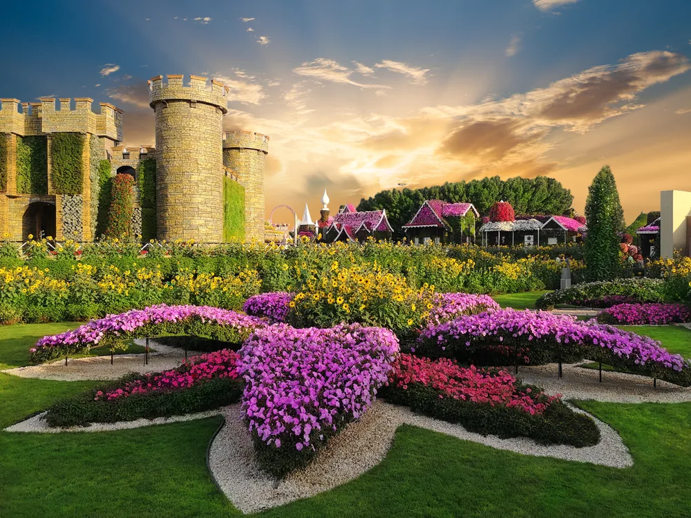Miracle Garden Dubai - Photo 2