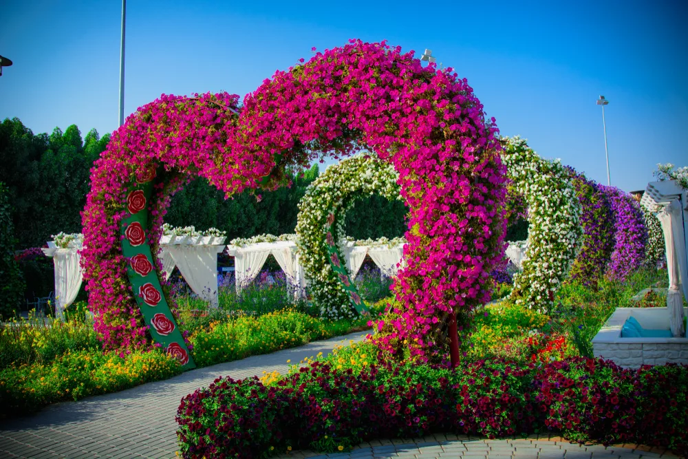 Miracle Garden Dubai - Photo 4