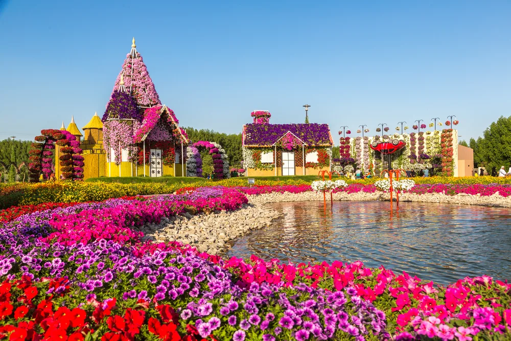 Miracle Garden Dubai - Photo 5